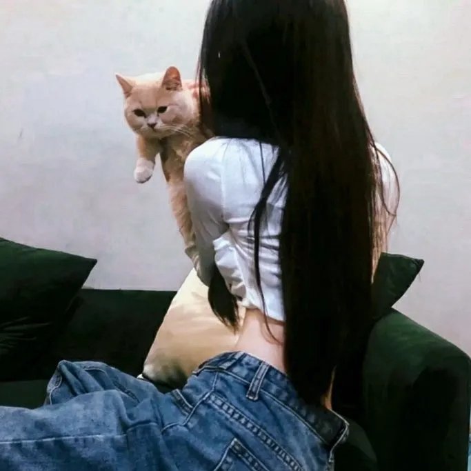 牡丹花血案